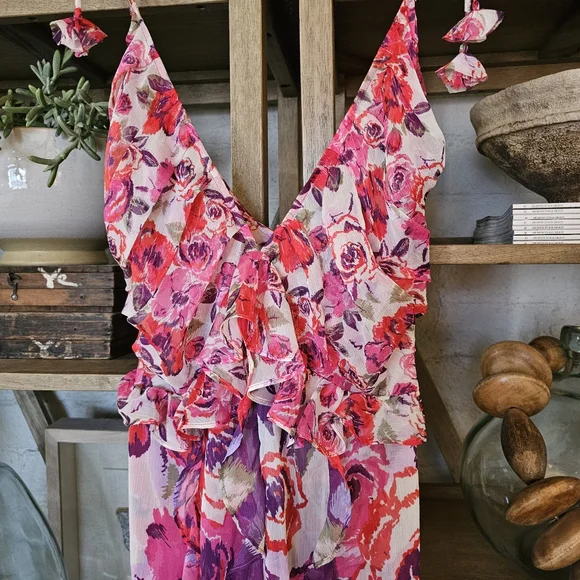 Anthropologie MISA Diana Floral Chiffon Maxi Dress Pink Red XS Coming Up  Roses